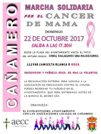 MARCHA SOLIDARIA POR EL CÁNCER DE MAMA