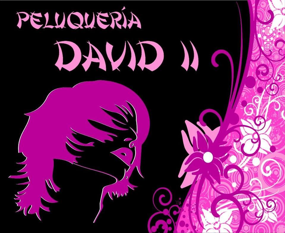 Imagen Peluqueria David & Angela
